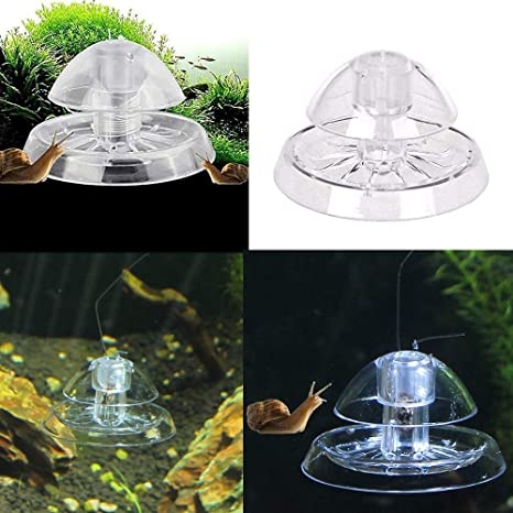 Dụng Cụ Bẫy Ốc Hại Trong Hồ Thủy Sinh, Hồ Cá Cảnh