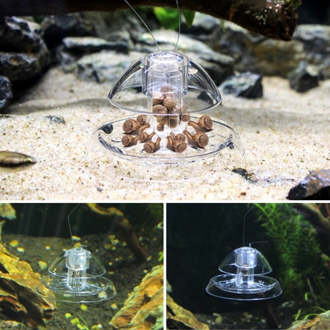 Dụng Cụ Bẫy Ốc Hại Trong Hồ Thủy Sinh, Hồ Cá Cảnh