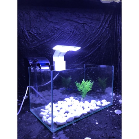 Đèn Led Kẹp Hồ Mini Kaokui KK-X3 | 3 Chế Độ Màu Tùy Chọn Cho Hồ Cá