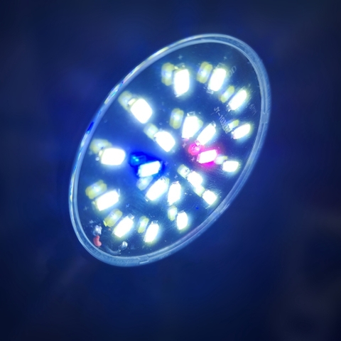 Đèn Led Kẹp Mini Kaokui KK-JY25 | Chế Độ Ánh Sáng Dùng được cho Bể Tròn, Hồ Bèo, Hồ Trụ