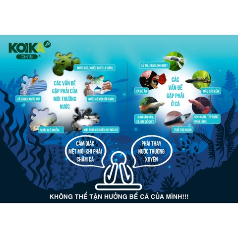 Men Vi Sinh Koika OBIO - Vi Sinh Cao Cấp Dành Cho Cá Cảnh