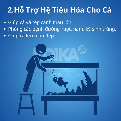 Men Vi Sinh Koika OBIO - Vi Sinh Cao Cấp Dành Cho Cá Cảnh