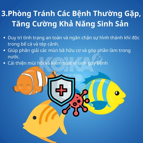 Men Vi Sinh Koika OBIO - Vi Sinh Cao Cấp Dành Cho Cá Cảnh