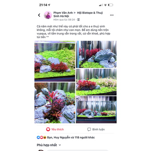 Cốt Nền Vũ Aqua - Cung Cấp Dinh Dưỡng cho Cây Thủy Sinh - Độ Bền Cao