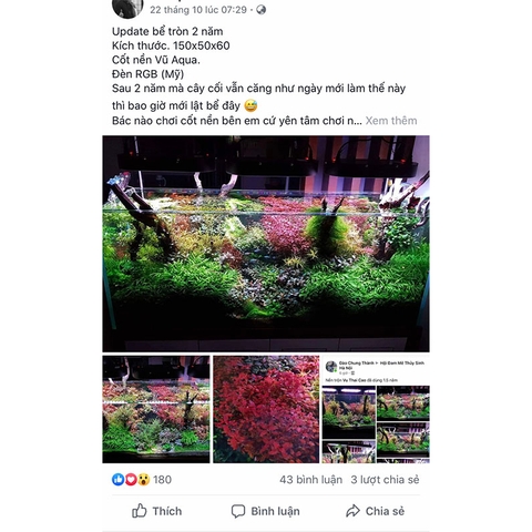 Cốt Nền Vũ Aqua - Cung Cấp Dinh Dưỡng cho Cây Thủy Sinh - Độ Bền Cao