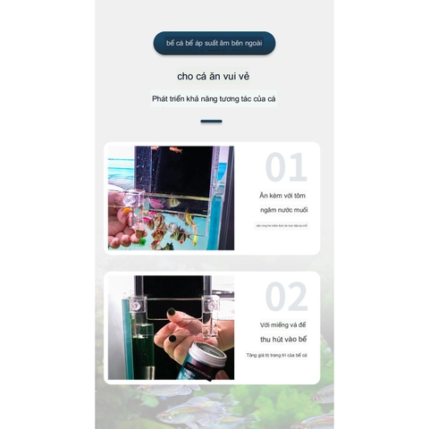 Box Úp Ngược Hồ Cá - Box Chất Liệu Acrylic Siêu Trong Trang Trí Bể Cá Cảnh