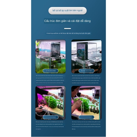 Box Úp Ngược Hồ Cá - Box Chất Liệu Acrylic Siêu Trong Trang Trí Bể Cá Cảnh