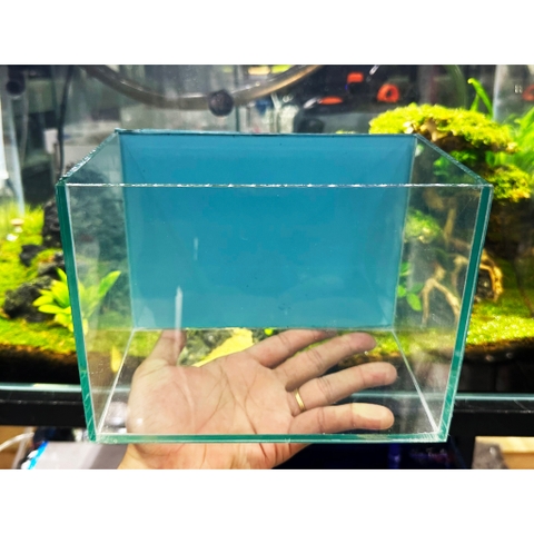 Hồ Cá Nền Xanh Biển Giá Rẻ Kích Thước 20x12x15cm - Thích hợp để bàn, nuôi cá cảnh nhỏ, betta, guppy