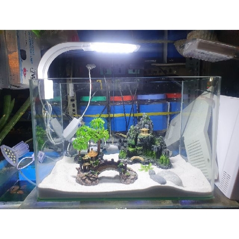 Đèn Led Kẹp 1 bên Siêu Sáng M280 3 Chế Độ Màu - Dễ sử dụng cho hồ từ 40cm trở lại