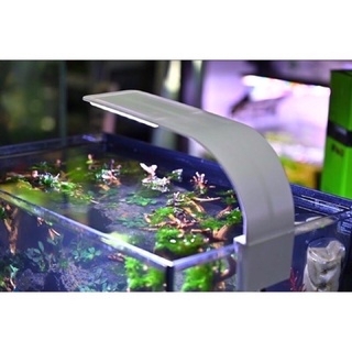 Đèn Led Kẹp 1 bên Siêu Sáng M280 3 Chế Độ Màu - Dễ sử dụng cho hồ từ 40cm trở lại