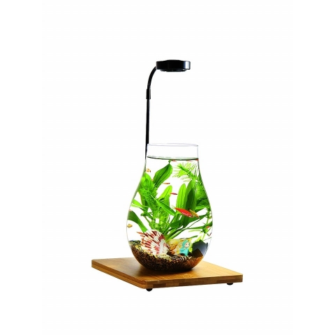 Đèn Đế Gỗ - Đèn Led kèm Đế Gỗ Ánh Sáng Trắng vàng chuyên dụng cho hồ thủy sinh, hồ bán cạn, bể cá tròn...