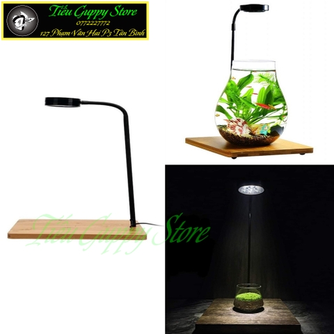 Đèn Đế Gỗ - Đèn Led kèm Đế Gỗ Ánh Sáng Trắng vàng chuyên dụng cho hồ thủy sinh, hồ bán cạn, bể cá tròn...