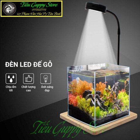 Đèn Đế Gỗ - Đèn Led kèm Đế Gỗ Ánh Sáng Trắng vàng chuyên dụng cho hồ thủy sinh, hồ bán cạn, bể cá tròn...