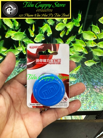 Nam Châm Chùi Hồ Mini chuyên dụng cho Bể Cá Nhỏ dưới 5mm - kiểu dáng nhỏ gọn, tinh tế