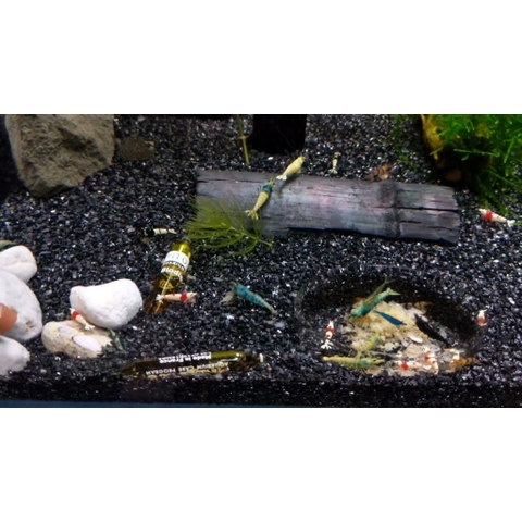 1kg Cát Thạch Anh Đen - Chuyên Dụng Lót Nền, Trang Trí Bể Cá