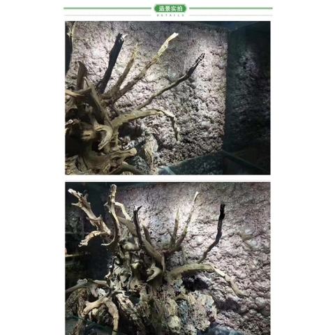 FOAM xịt HOUYI Tạo Hình Bố Cục, Background Hồ Bán Cạn, Keo Xịt Tạo Khối Cho Hồ, Tường Rêu