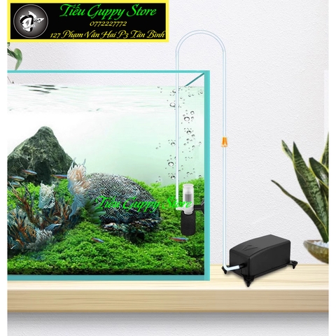 Lọc Vi Sinh Mini Cho Những Hồ Cá Nhỏ, Hồ Betta, Hồ Để Bàn