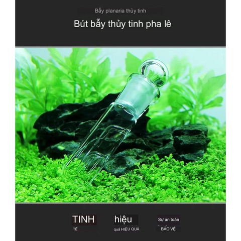 Ống Thủy tinh Bẫy Sán, Sinh vật hại trong Hồ Thủy Sinh