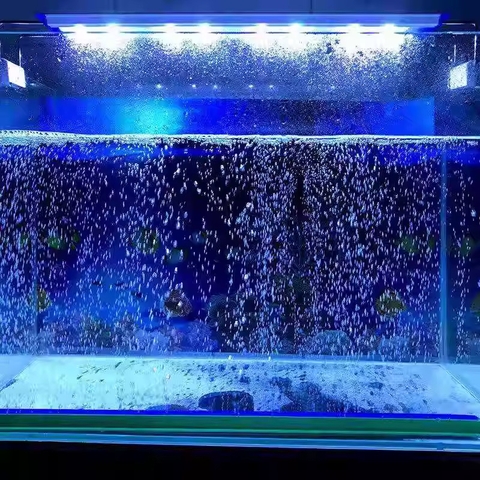 Thanh Sủi Oxy Cho Hồ Cá Cảnh, Trang trí hồ cá thêm lung linh - Giúp khuếch tán, hòa tan oxy trong hồ tốt hơn