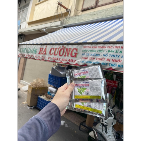 Bacter Powder Nuphar - Vi Sinh Gốc - Làm Trong Nước - Giải Quyết Tảo Xanh