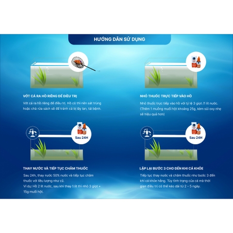 Hodicare Crush - Dung Dịch Kháng Nấm, Túm Lắc, Sát Trùng Cá Mới, Tăng Sức Đề Kháng