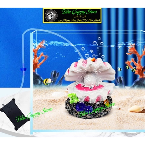 Mô Hình Vỏ Sò Trang Trí Bể Cá - Có Thể Kết Hợp Máy Bơm Để Sủi Oxy