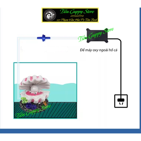 Mô Hình Vỏ Sò Trang Trí Bể Cá - Có Thể Kết Hợp Máy Bơm Để Sủi Oxy