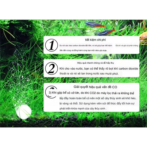 Viên Sủi CO2 Sunsun - Giúp Cây Phát Triển Tốt, Lên Màu Đẹp (60 viên sủi)