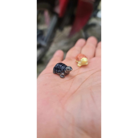 Rùa mini Tiểu Cảnh Trang Trí Hồ Cá, Bonsai, Terarirum ....