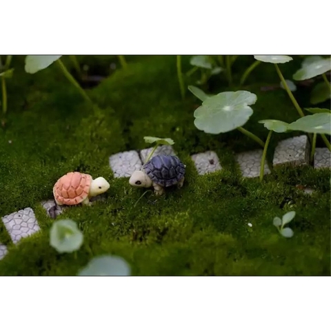 Rùa mini Tiểu Cảnh Trang Trí Hồ Cá, Bonsai, Terarirum ....