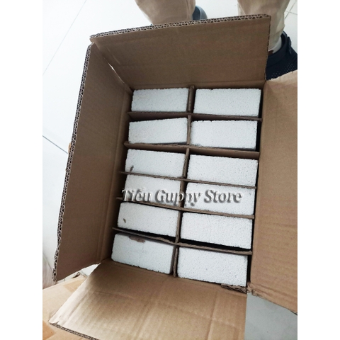 Sứ Vuông - Sứ Gạch Trắng - Sứ Tàu Hủ - Kích Thước 4.3x10.5x10.5cm - Vật liệu lọc cho hồ