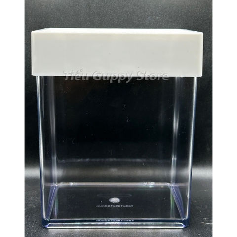 Keo Betta Trong Suốt 15x12x15cm - Keo Show Nhựa Chất Liệu Cao Cấp Tích Hợp nuôi cá Betta, Guppy, Cá Cảnh nhỏ, Tiểu Cảnh