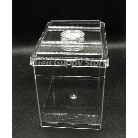 Khay Nhựa Mica nuôi Cá Betta, Guppy, Cá Cảnh Nhỏ 8x12x10cm Sobo M-B03- Keo Betta Mini Chất Liệu nhựa trong suốt