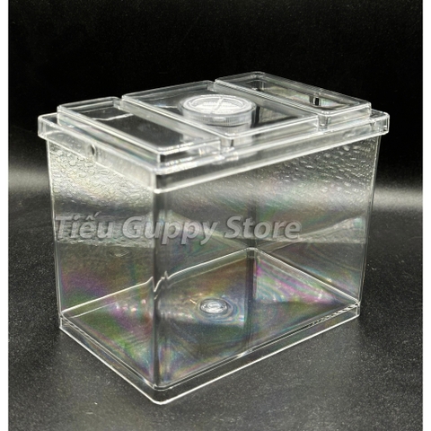 Khay Nhựa Mica nuôi Cá Betta, Guppy, Cá Cảnh Nhỏ 8x12x10cm Sobo M-B03- Keo Betta Mini Chất Liệu nhựa trong suốt