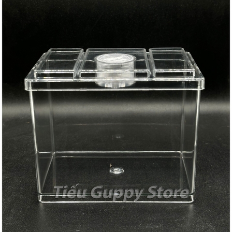 Khay Nhựa Mica nuôi Cá Betta, Guppy, Cá Cảnh Nhỏ 8x12x10cm Sobo M-B03- Keo Betta Mini Chất Liệu nhựa trong suốt