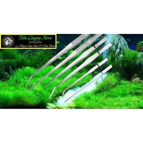 Nhíp cong - Nhíp thẳng Chất liệu Inox tốt -  chuyên dụng để trồng cây thủy sinh, gắp thức ăn cho Pet