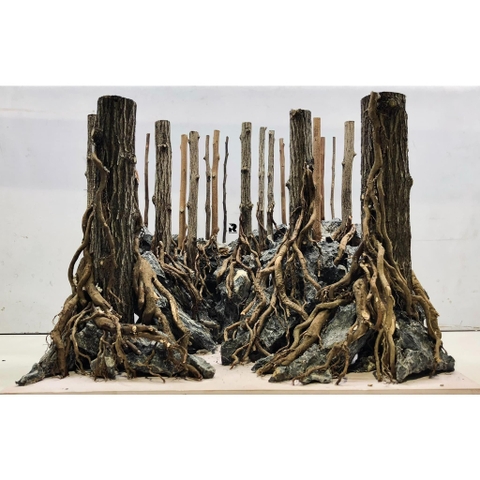 Lũa Thạch Sùng - Lũa Chuyên Setup Hồ Thủy Sinh Layout Rừng Tự Nhiên (Chiều dài 35-50cm)