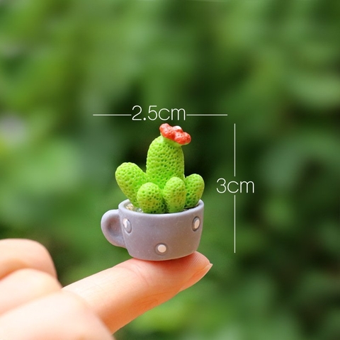 Phụ Kiện Tiểu Cảnh -  Mô hình Cây Xương Rồng dễ thương (ZC- 814)- Tiểu Cảnh Trang Trí