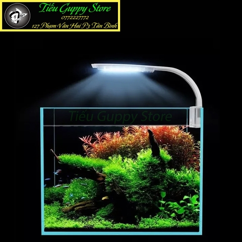 Đèn Led Kẹp Hồ Cá Siêu Sáng Kaokui M280 3 chế độ (Phù Hợp cho hồ từ 40cm trở lại)