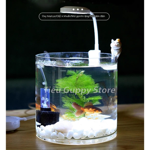 Lọc Vi Sinh Mini XY2833 Chuyên dùng cho hồ nhỏ (tặng kèm van và dây oxy)