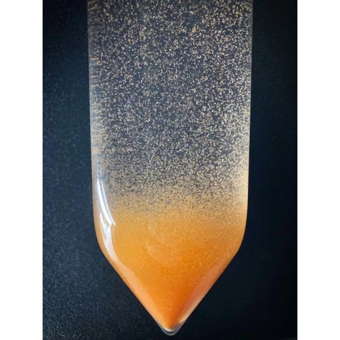 Artemia Golden Bay (lon 425gr) - Trứng Artemia Mỹ Chất Lượng nở Cao, Thời gian thu hoạch nhanh chóng 24h