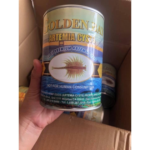 Artemia Golden Bay (lon 425gr) - Trứng Artemia Mỹ Chất Lượng nở Cao, Thời gian thu hoạch nhanh chóng 24h