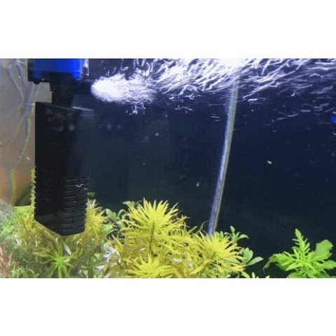 Máy Bơm Lọc Nước Tích Hợp Bông Lọc Vi Sinh AQUAWING AQ510F - AQ520F