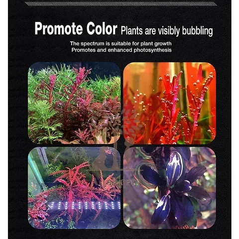 Đèn Led Đỏ Cá Ko Đỏ Nước DEYAO CF02 - Thích hợp cho hồ từ 40cm đổ xuống