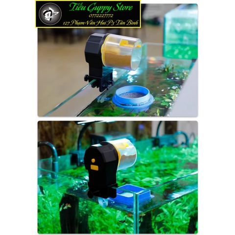 Máy cho cá ăn tự động Jeneca F-8805 (Tặng kèm 2 pin)