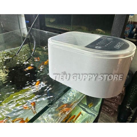 Máy Cho Ăn Tự Động SOBO DA-06 - Kiếu dáng mới, nhỏ gọn và tiện lợi