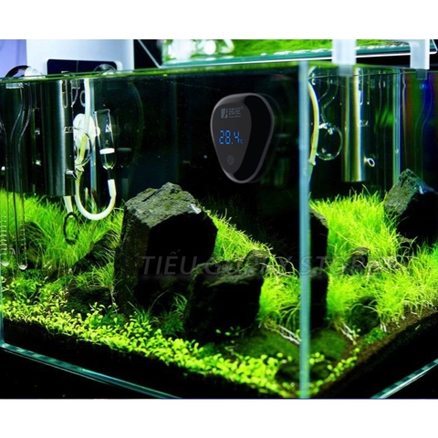 Nhiệt Kế Điện Tử Hồ Cá AquaBlue DT-21 | Đo chính xác chỉ bằng 1 cú chạm