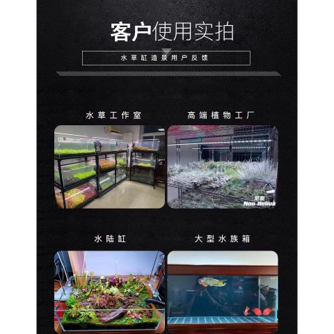 Đèn Hồ Cá RGB Neo-Helios Flat Light Solar XP-300 XP-450 XP-600 XP-800 XP-900 XP-1200 Đỏ Cá Không Đỏ Nước