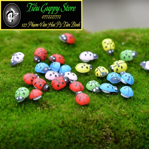 Phụ Kiện Tiểu Cảnh - Bọ Ngũ Sắc (ZC-886) - Tiểu Cảnh Trang Trí Chậu Sen đá, Hồ Cá, Bonsai, Terrarium