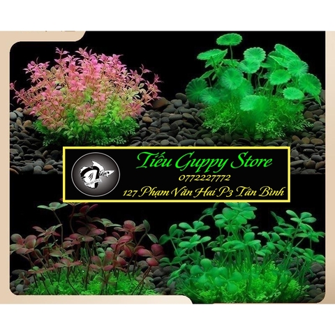 Phụ Kiện Tiểu Cảnh - Mô hình cây rong nhựa ( YR-5 ) - Tiểu Cảnh Trang Trí Hồ Cá